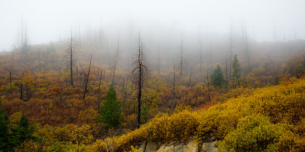 Photograph Mountain Fog Mesa Verde